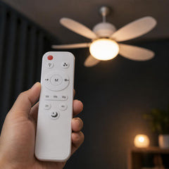 Remote control for light tone, brightness, fan speed and timer